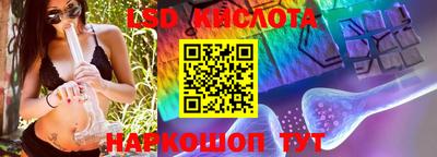 сатива Ставрополь