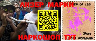 сатива Ставрополь