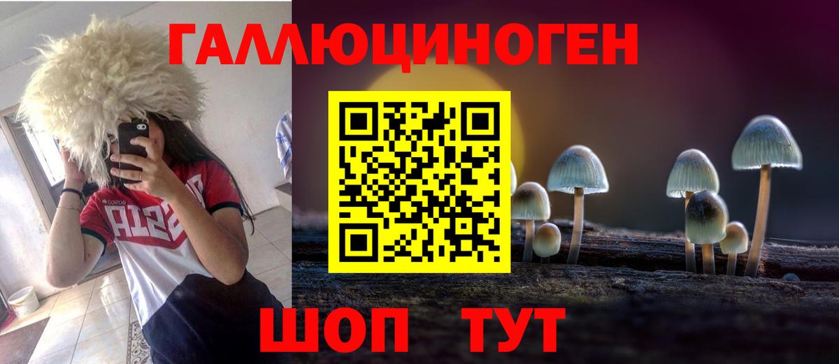Галлюциногенные грибы Magic Shrooms Новокубанск